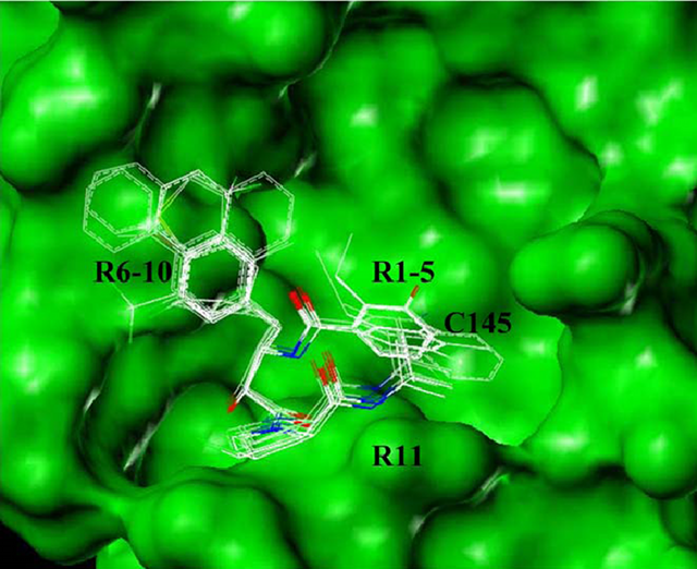 Illustration of the binding modes of 53 successful ligands selected from pharmacophore search in SARS
            3CLpro-binding site.