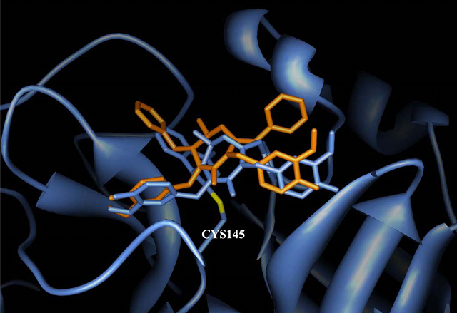 Comparison of binding modes of the cyclic urea-based HIV protease inhibitor (colored in orange) and its
            covalent analogue (colored in cornflower blue) to SARS 3CLpro active site.