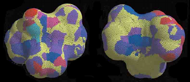 Color-coded molecular surface of nevirapine in the 1vrt complex.